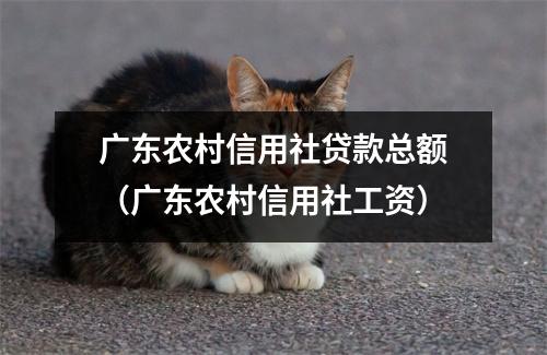 广东农村信用社贷款总额（广东农村信用社工资）