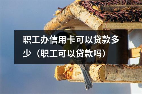 职工办信用卡可以贷款多少（职工可以贷款吗）