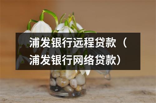 浦发银行远程贷款（浦发银行网络贷款）