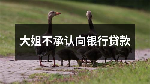 大姐不承认向银行贷款