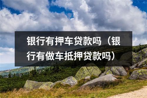 银行有押车贷款吗（银行有做车抵押贷款吗）