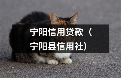 宁阳信用贷款（宁阳县信用社）