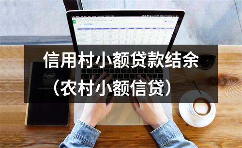 信用村小额贷款结余（农村小额信贷）