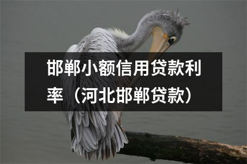 邯郸小额信用贷款利率（河北邯郸贷款）