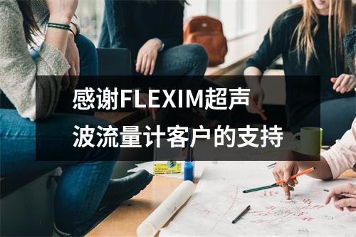 感谢FLEXIM超声波流量计客户的支持