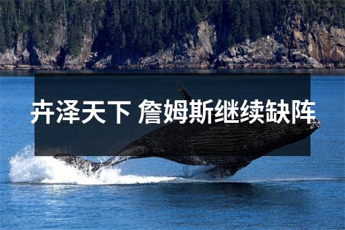 卉泽天下 詹姆斯继续缺阵