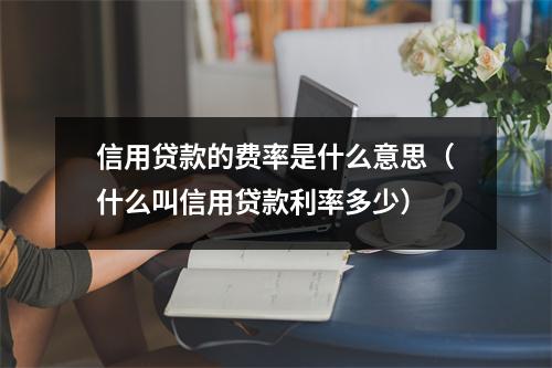 信用贷款的费率是什么意思（什么叫信用贷款利率多少）