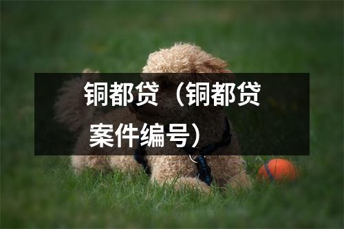 铜都贷（铜都贷 案件编号）