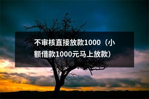 不审核直接放款1000（小额借款1000元马上放款）