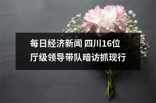 每日经济新闻 四川16位厅级领导带队暗访抓现行