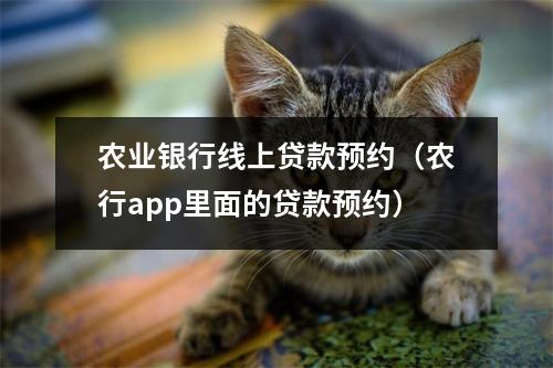 农业银行线上贷款预约（农行app里面的贷款预约）
