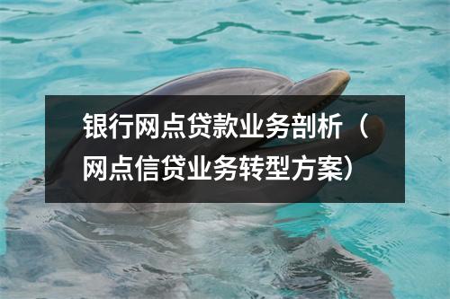 银行网点贷款业务剖析（网点信贷业务转型方案）