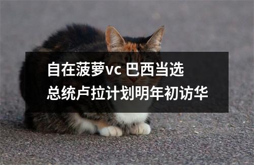 自在菠萝vc 巴西当选总统卢拉计划明年初访华