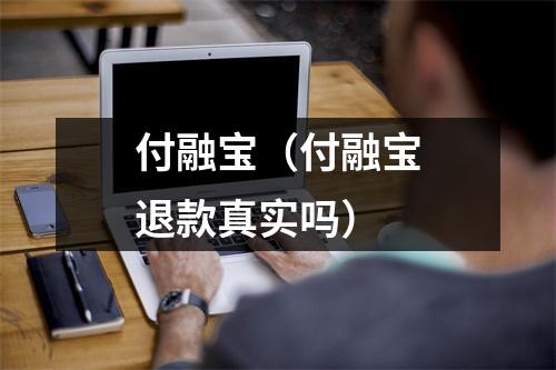付融宝（付融宝退款真实吗）
