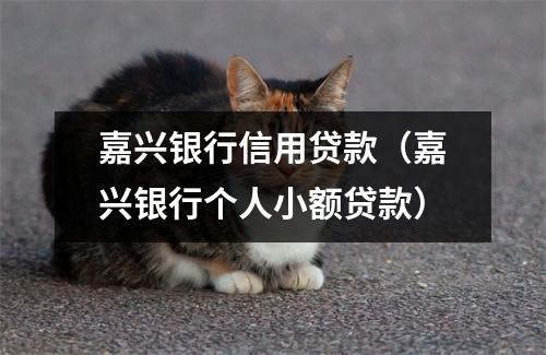嘉兴银行信用贷款（嘉兴银行个人小额贷款）