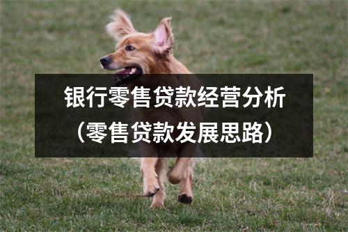 银行零售贷款经营分析（零售贷款发展思路）