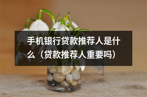 手机银行贷款推荐人是什么（贷款推荐人重要吗）