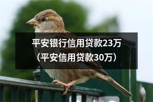 平安银行信用贷款23万（平安信用贷款30万）