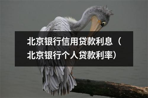 北京银行信用贷款利息（北京银行个人贷款利率）