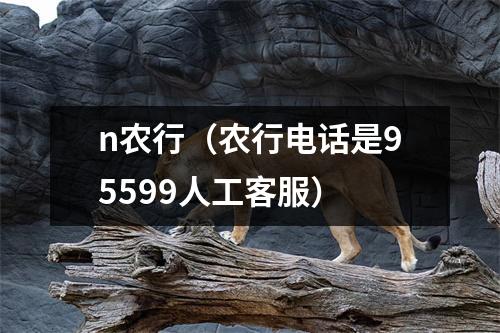 n农行（农行电话是95599人工客服）