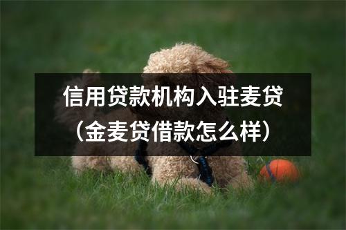信用贷款机构入驻麦贷（金麦贷借款怎么样）