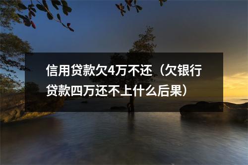 信用贷款欠4万不还（欠银行贷款四万还不上什么后果）