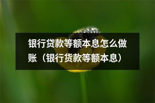 银行贷款等额本息怎么做账（银行货款等额本息）