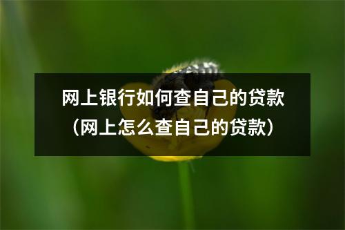 网上银行如何查自己的贷款（网上怎么查自己的贷款）