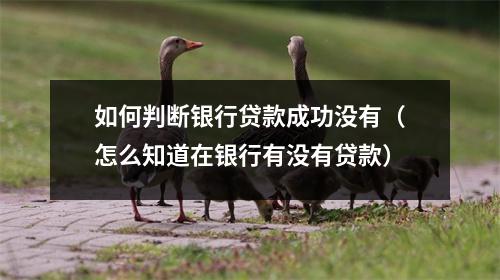 如何判断银行贷款成功没有（怎么知道在银行有没有贷款）