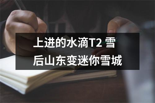 上进的水滴T2 雪后山东变迷你雪城