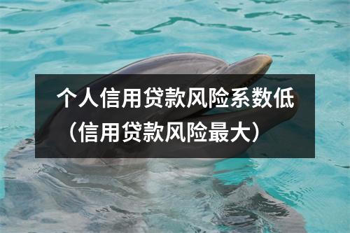 个人信用贷款风险系数低（信用贷款风险最大）