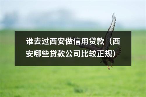 谁去过西安做信用贷款（西安哪些贷款公司比较正规）