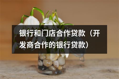银行和门店合作贷款(开发商合作的银行贷款)
