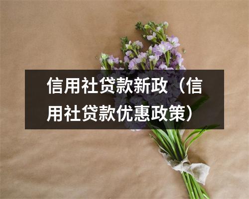 信用社贷款新政（信用社贷款优惠政策）