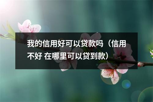 我的信用好可以贷款吗（信用不好 在哪里可以贷到款）