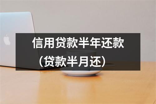信用贷款半年还款（贷款半月还）