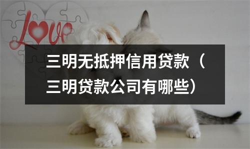 三明无抵押信用贷款（三明贷款公司有哪些）
