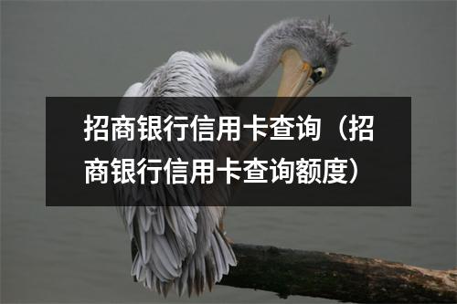 招商银行信用卡查询（招商银行信用卡查询额度）