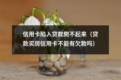 信用卡陷入贷款爬不起来（贷款买房信用卡不能有欠款吗）