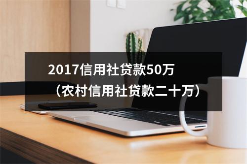2017信用社贷款50万（农村信用社贷款二十万）