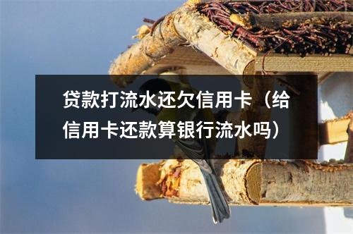 贷款打流水还欠信用卡（给信用卡还款算银行流水吗）