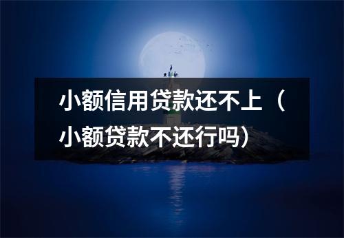 小额信用贷款还不上（小额贷款不还行吗）