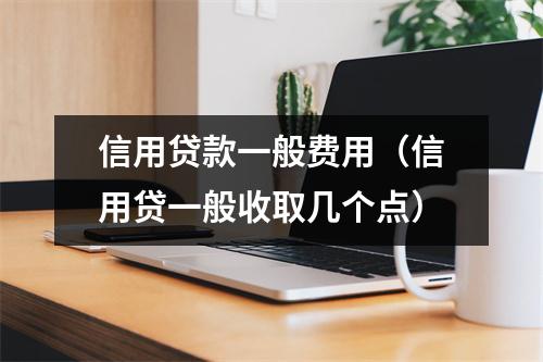 信用贷款一般费用（信用贷一般收取几个点）