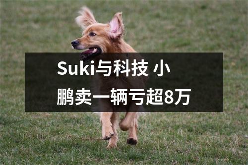 Suki与科技 小鹏卖一辆亏超8万