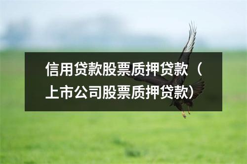 信用贷款股票质押贷款（上市公司股票质押贷款）