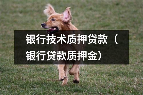 银行技术质押贷款（银行贷款质押金）