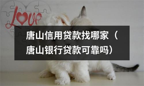 唐山信用贷款找哪家(唐山银行贷款可靠吗)