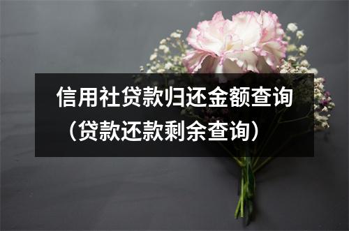 信用社贷款归还金额查询（贷款还款剩余查询）