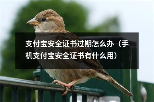支付宝安全证书过期怎么办（手机支付宝安全证书有什么用）