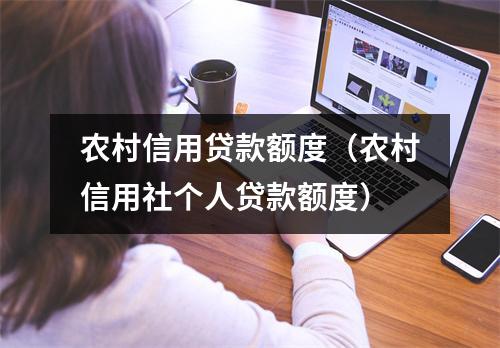 农村信用贷款额度（农村信用社个人贷款额度）
